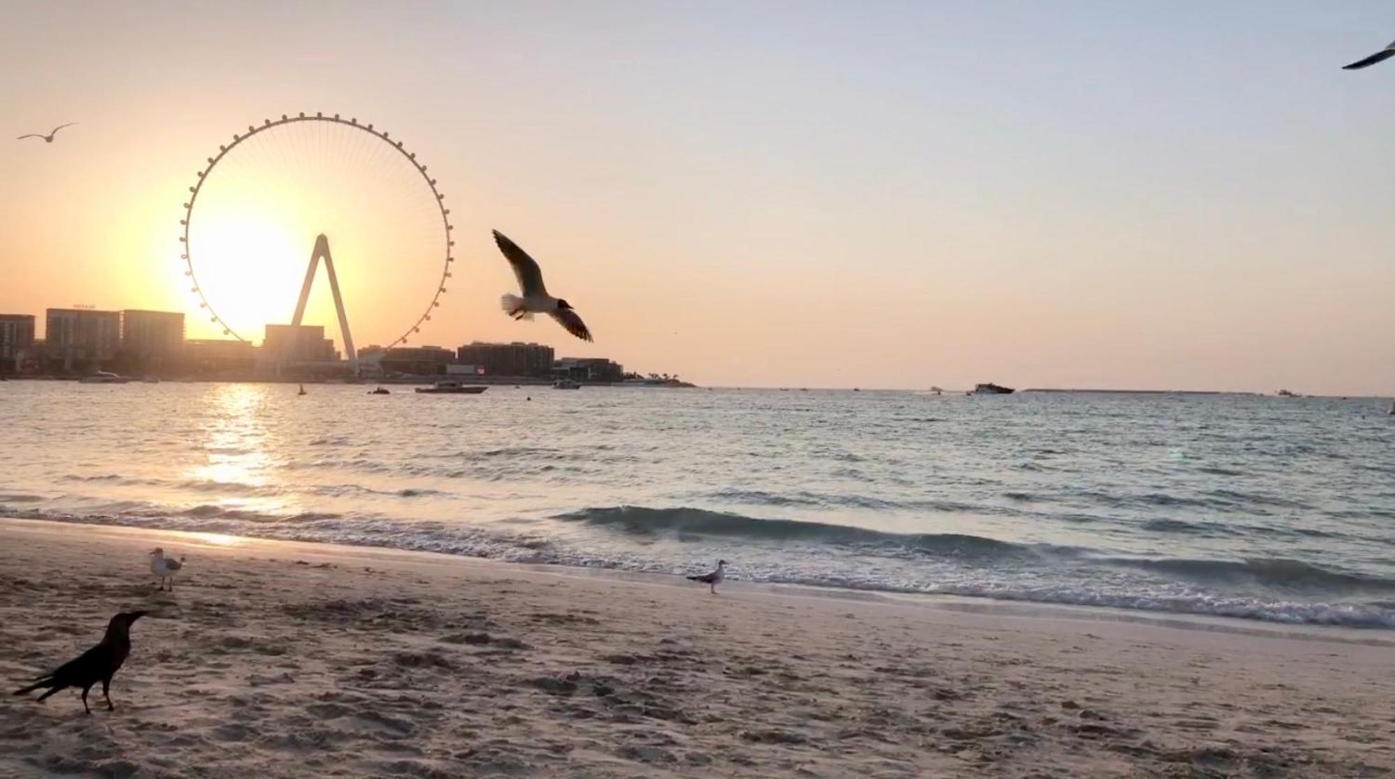 Jbr Beachfront Luxe Apartment All Rooms Sea Facing Dubai Eksteriør billede